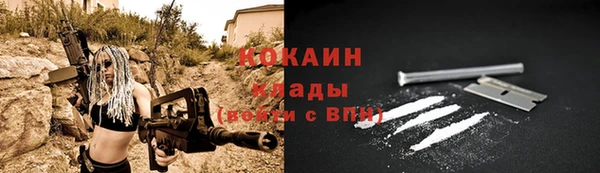 индика Осташков