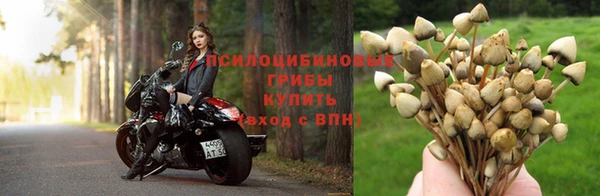 индика Осташков