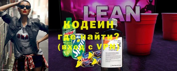 индика Осташков